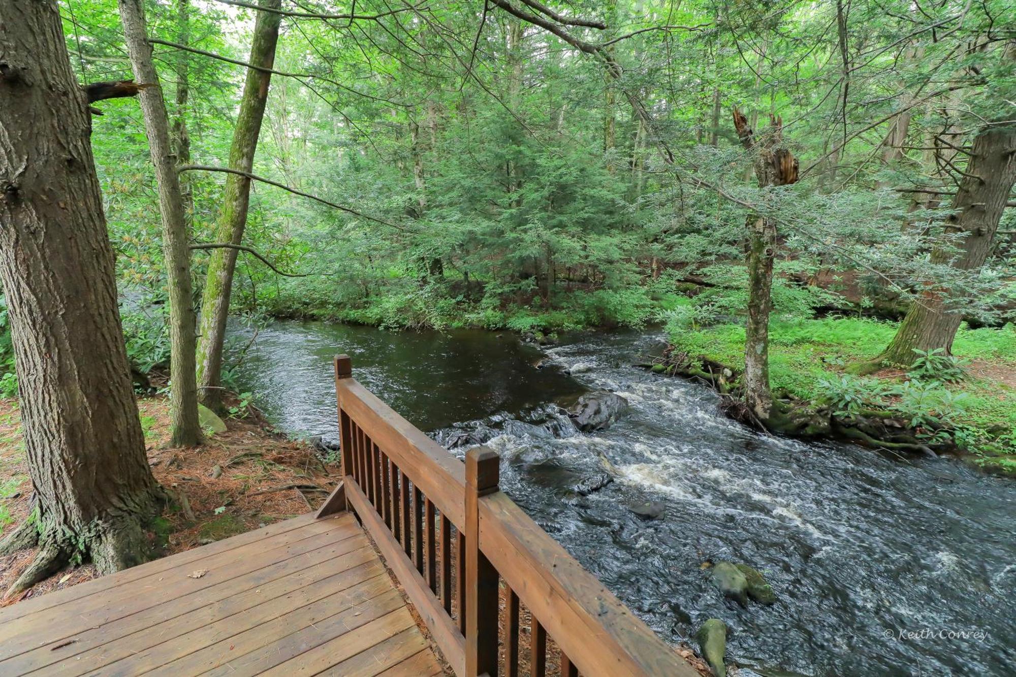 Magnolia Streamside Resort Canadensis الغرفة الصورة